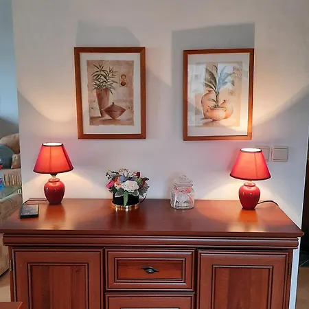 公寓 Meli 德拉格